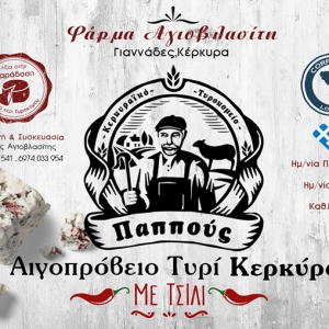 Graphic designs by Phoenix